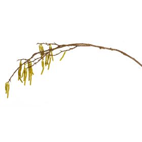 Catkin Branch (Set of 6) 39"H Plastic