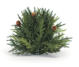 Arborvitae Half Orb 8.5"D Plastic