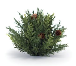 Arborvitae Half Orb (Set of 2) 6.5"D Plastic