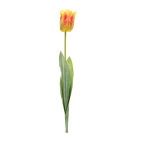 Tulip Stem (Set of 6) 27"H Polyester/Plastic