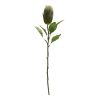 Protea Stem (Set of 6) 20"H, 26.5"H Polyester