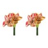 Amaryllis Stem (Set of 2) 28.5"H Polyester