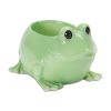 Frog Planter (Set of 2) 5"L x 3.5"H Resin