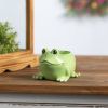 Frog Planter (Set of 2) 5"L x 3.5"H Resin