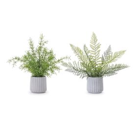 Potted Fern (Set of 2) 14.5"H Plastic