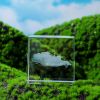 Moon; Cloud; 3D Cube Engraved Crystal Craft Ornaments; Desktop Bedroom Decorations; Creative Birthday Gifts - Clouds