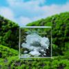 Moon; Cloud; 3D Cube Engraved Crystal Craft Ornaments; Desktop Bedroom Decorations; Creative Birthday Gifts - Cloud Cover