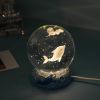 Stars And Seas; Ocean Series Crystal Ball Ornaments; Night Lights; Bedroom Desktop Decorations; Creative Birthday Gifts - Colorful Clownfish