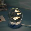 Stars And Seas; Ocean Series Crystal Ball Ornaments; Night Lights; Bedroom Desktop Decorations; Creative Birthday Gifts - Gorgeous Coral