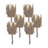 Protea Stem (Set of 6) 20"H Plastic