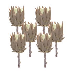 Protea Stem (Set of 6) 20"H Plastic (Option: Brown)