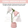 Cute LED Desk Lamp, Kawaii Flower Bird Table Lamp USB Rechargeable