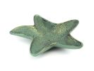 Cast Iron Starfish Decorative Bowl 8"