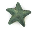 Cast Iron Starfish Decorative Bowl 8"